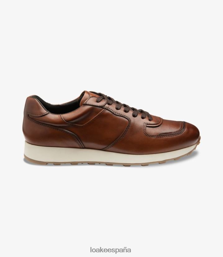 entrenadores y zapatillas de deporte Loake alentar cedro 8LF0BH38