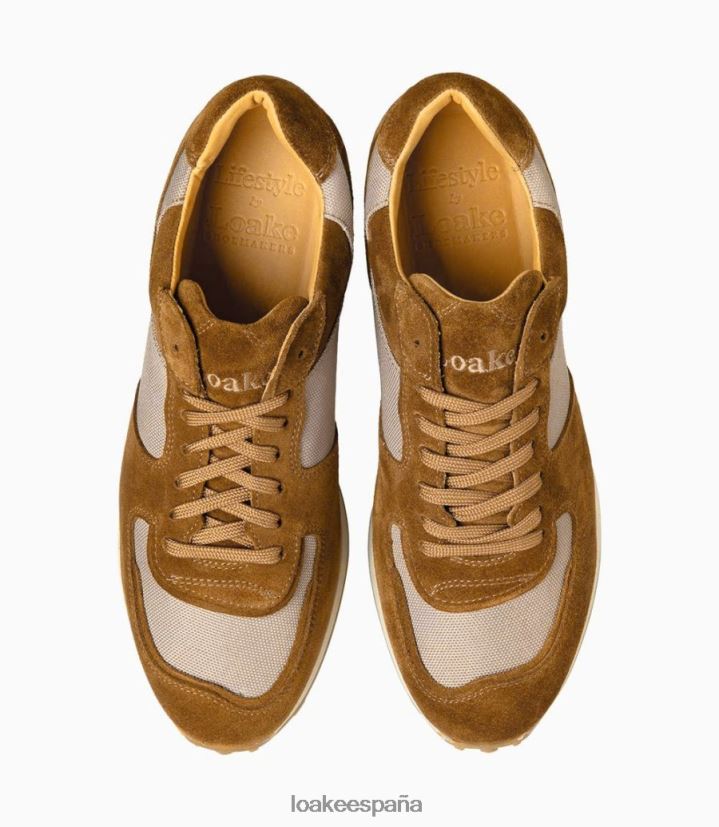 entrenadores y zapatillas de deporte Loake alentar gamuza bronceada 8LF0BH35