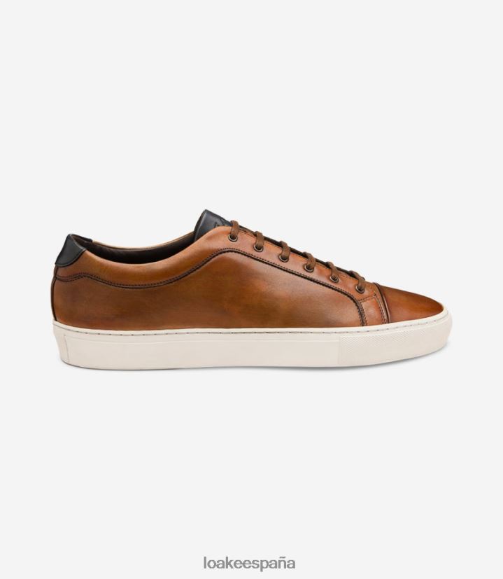 entrenadores y zapatillas de deporte Loake estrellarse Castaño 8LF0BH28
