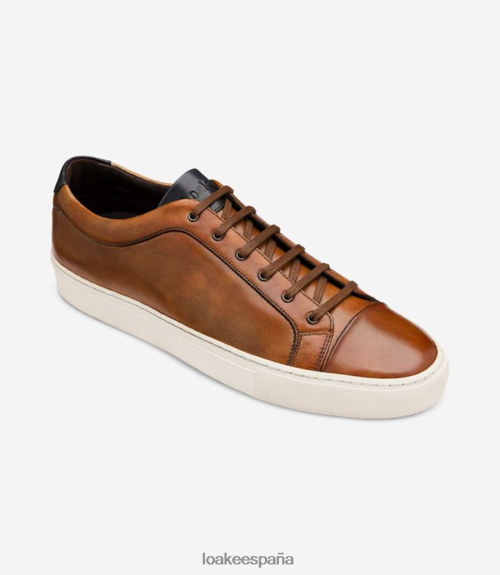 entrenadores y zapatillas de deporte Loake estrellarse Castaño 8LF0BH28