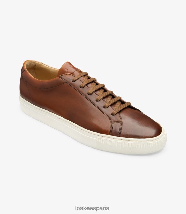 entrenadores y zapatillas de deporte Loake pique marrón 8LF0BH32
