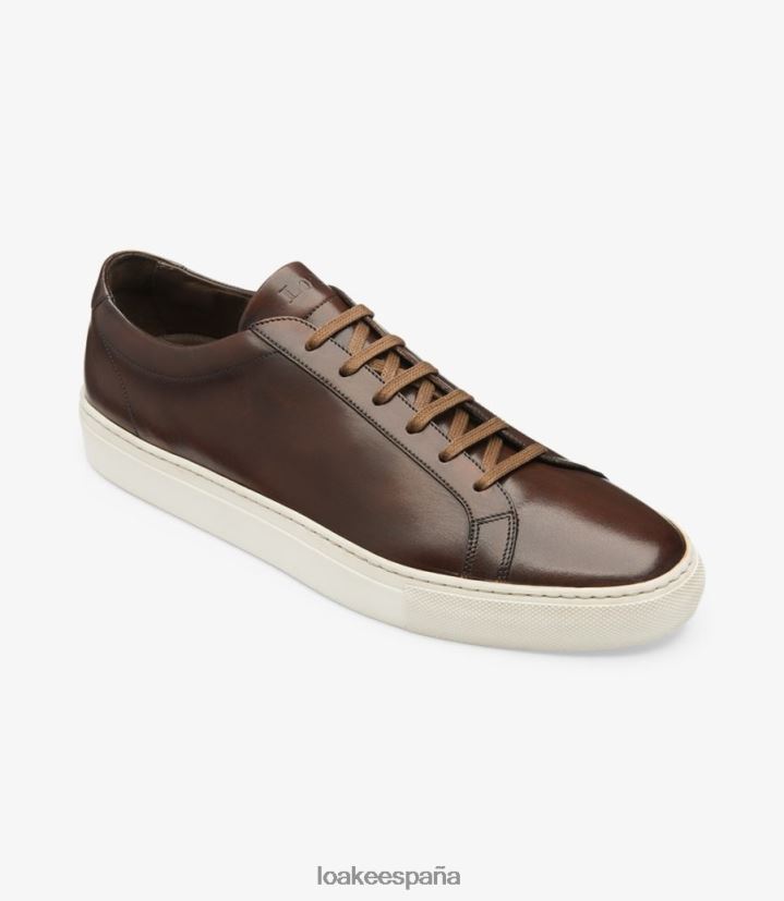 entrenadores y zapatillas de deporte Loake pique marron oscuro 8LF0BH31